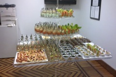 Inaugurazione dicembre 2011